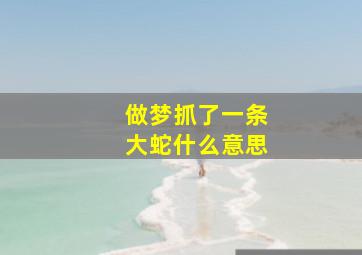 做梦抓了一条大蛇什么意思