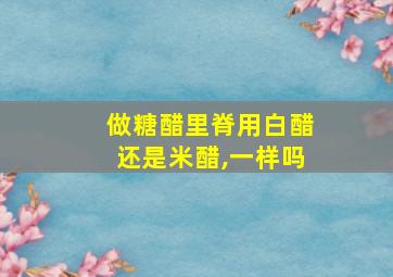 做糖醋里脊用白醋还是米醋,一样吗