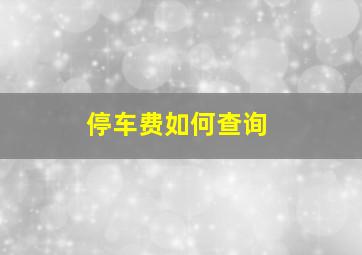 停车费如何查询