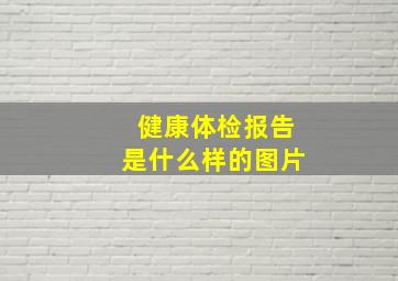 健康体检报告是什么样的图片