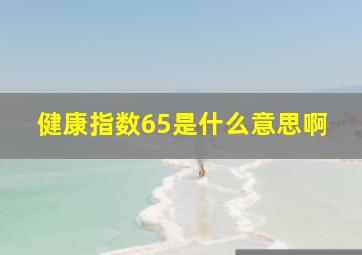 健康指数65是什么意思啊