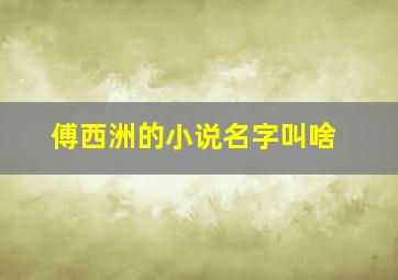 傅西洲的小说名字叫啥