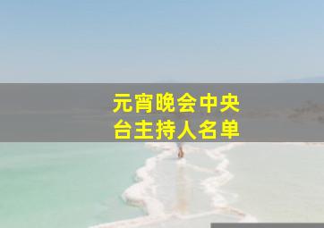 元宵晚会中央台主持人名单