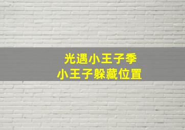 光遇小王子季小王子躲藏位置