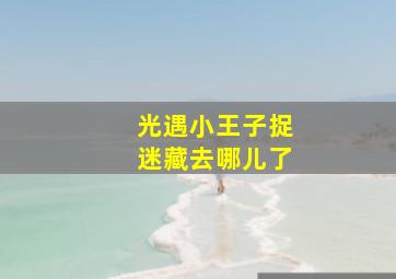 光遇小王子捉迷藏去哪儿了