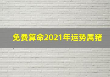 免费算命2021年运势属猪