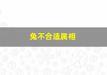 兔不合适属相