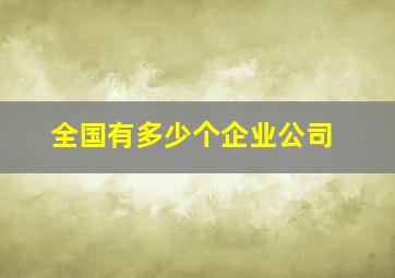 全国有多少个企业公司