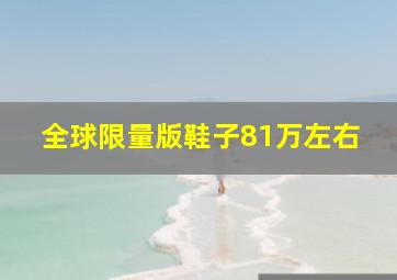 全球限量版鞋子81万左右