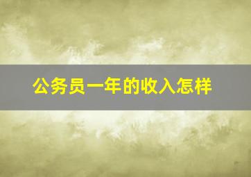 公务员一年的收入怎样