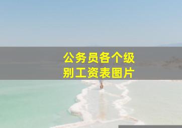 公务员各个级别工资表图片