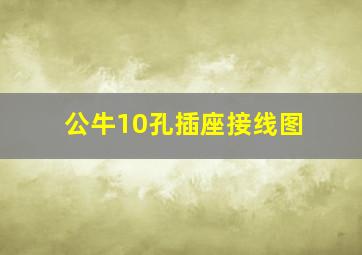 公牛10孔插座接线图