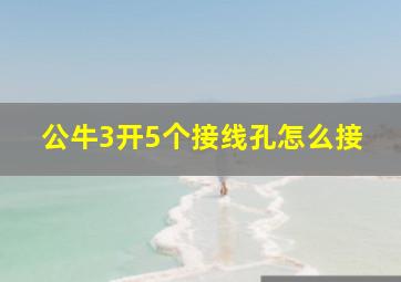 公牛3开5个接线孔怎么接