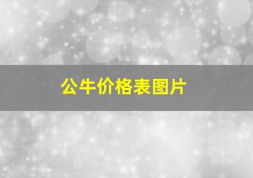 公牛价格表图片