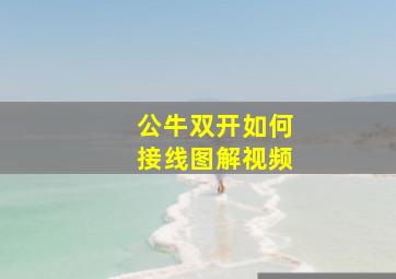 公牛双开如何接线图解视频