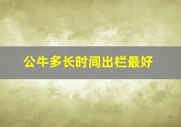 公牛多长时间出栏最好