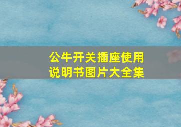 公牛开关插座使用说明书图片大全集