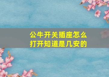 公牛开关插座怎么打开知道是几安的