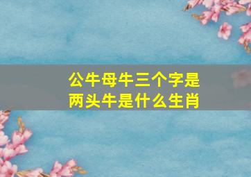 公牛母牛三个字是两头牛是什么生肖