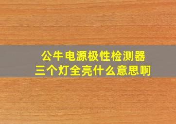 公牛电源极性检测器三个灯全亮什么意思啊