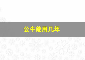 公牛能用几年