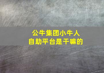 公牛集团小牛人自助平台是干嘛的