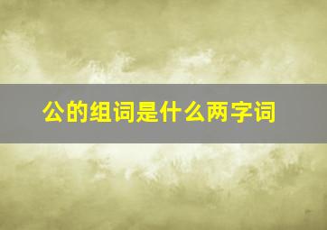 公的组词是什么两字词