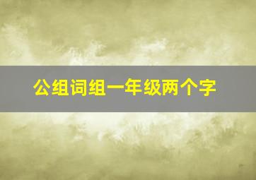 公组词组一年级两个字