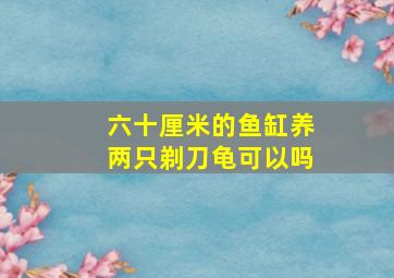 六十厘米的鱼缸养两只剃刀龟可以吗