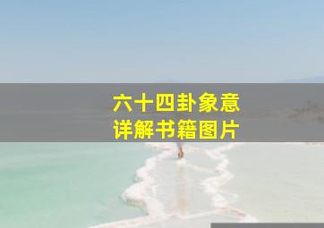 六十四卦象意详解书籍图片