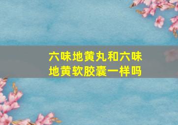 六味地黄丸和六味地黄软胶囊一样吗