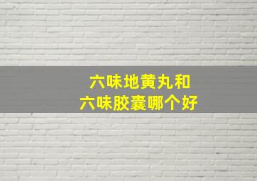 六味地黄丸和六味胶囊哪个好