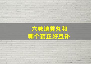 六味地黄丸和哪个药正好互补