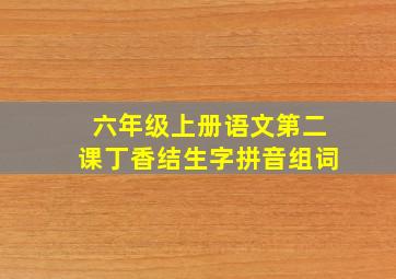 六年级上册语文第二课丁香结生字拼音组词