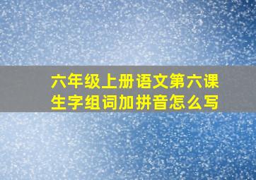 六年级上册语文第六课生字组词加拼音怎么写