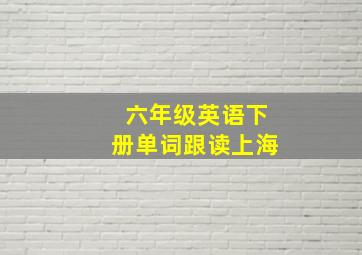 六年级英语下册单词跟读上海