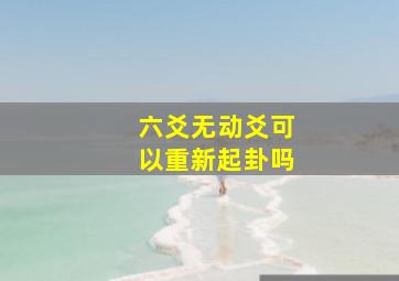 六爻无动爻可以重新起卦吗