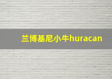 兰博基尼小牛huracan