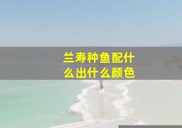 兰寿种鱼配什么出什么颜色