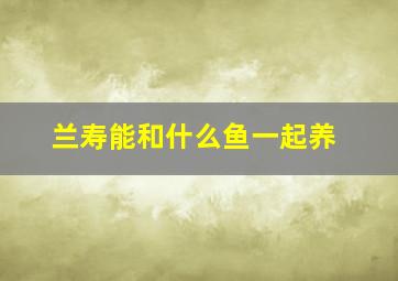 兰寿能和什么鱼一起养