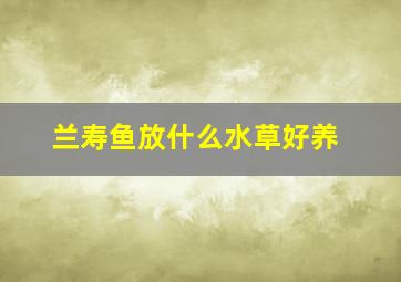 兰寿鱼放什么水草好养