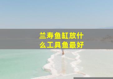 兰寿鱼缸放什么工具鱼最好