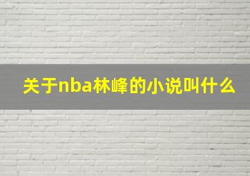 关于nba林峰的小说叫什么