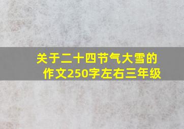 关于二十四节气大雪的作文250字左右三年级