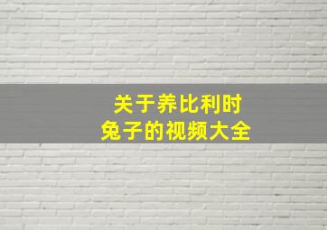 关于养比利时兔子的视频大全