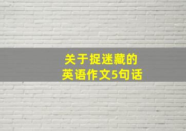 关于捉迷藏的英语作文5句话