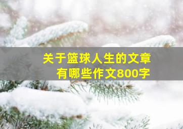 关于篮球人生的文章有哪些作文800字