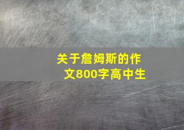 关于詹姆斯的作文800字高中生