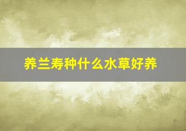 养兰寿种什么水草好养