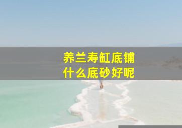 养兰寿缸底铺什么底砂好呢